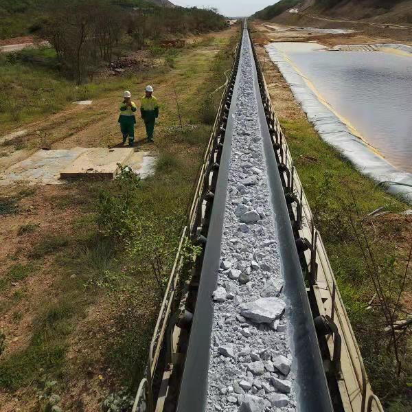 用邁世軌道巡檢機器人，海運碼頭長距離送料巡檢實現(xiàn)無人化